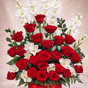 White and Red serenity